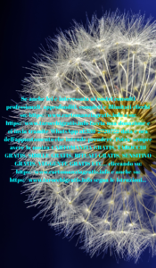 https://www.tarocchigratis.info