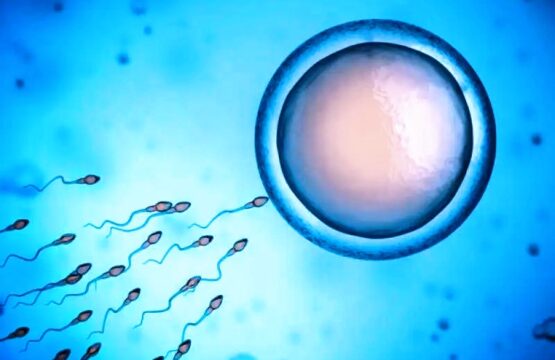 spermatozoi-in-azione_