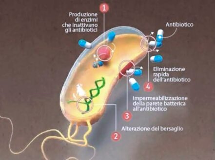 batterio-antibiotico-resistente_