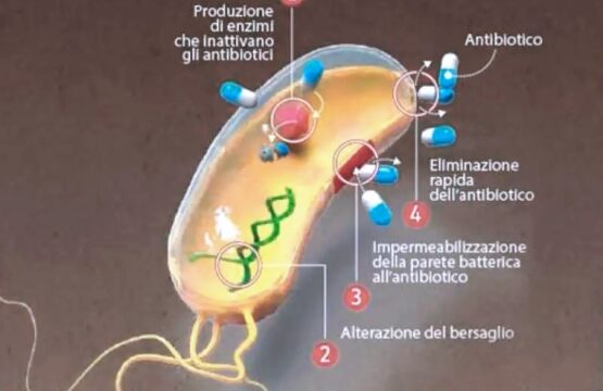 batterio-antibiotico-resistente_